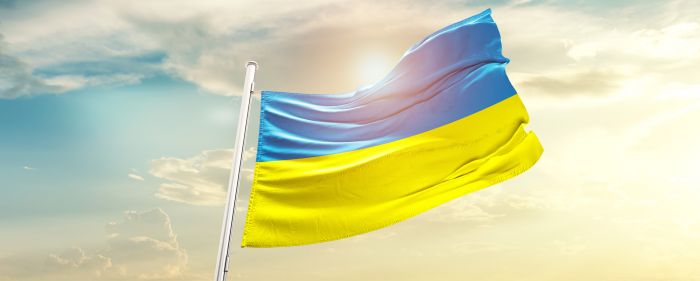 Grafika do: In Solidarität mit der Ukraine